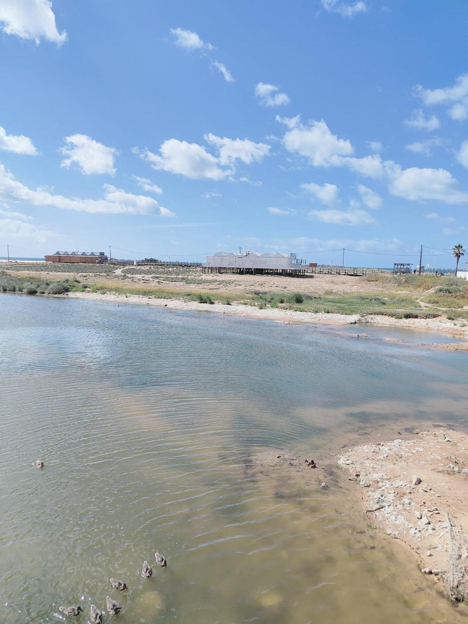 Bayline- Beachfront And Pool Armação de Pêra Kültér fotó